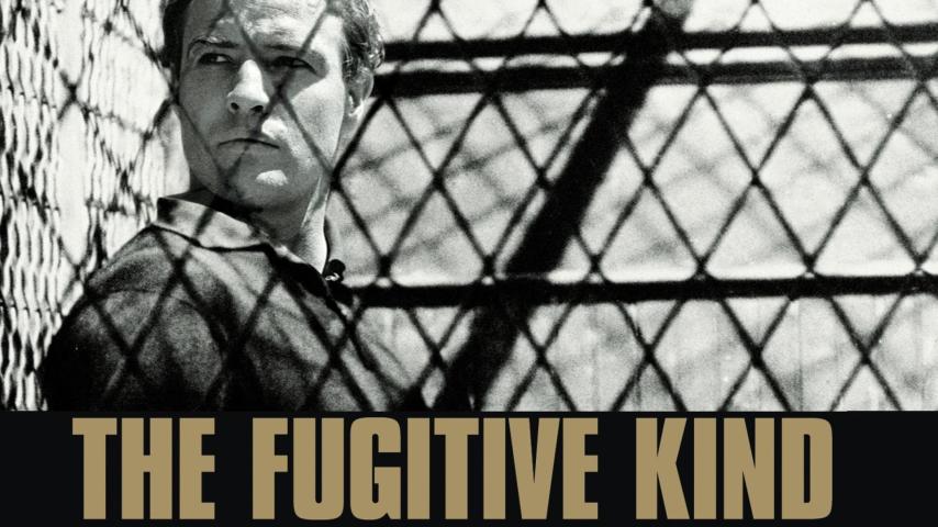مشاهدة فيلم The Fugitive Kind (1960) مترجم