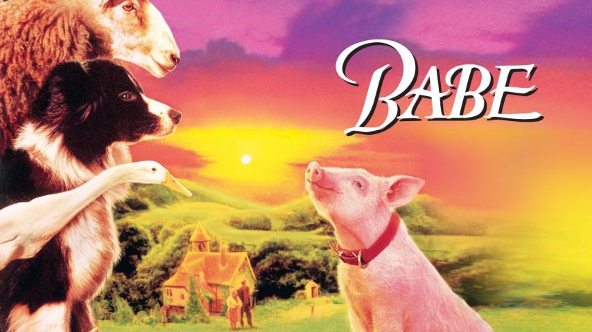 مشاهدة فيلم Babe 1995 مترجم