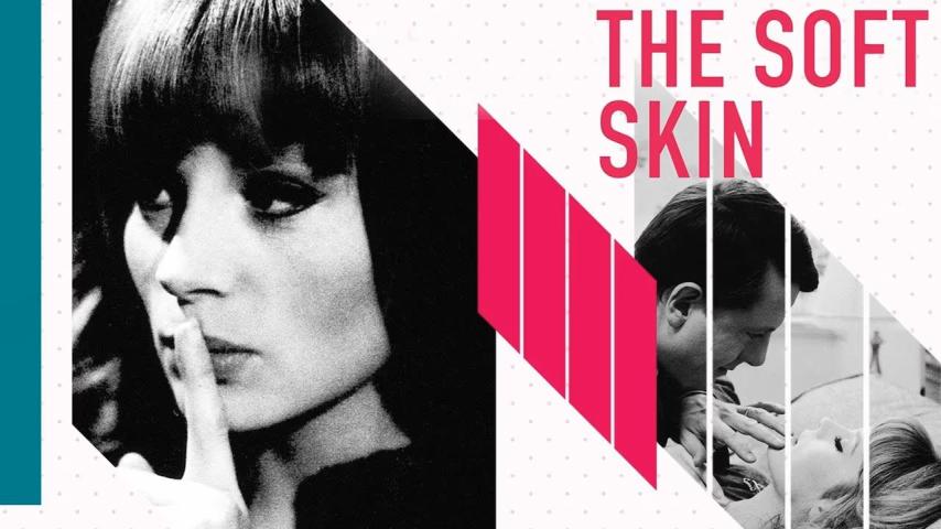 مشاهدة فيلم The Soft Skin 1964 مترجم