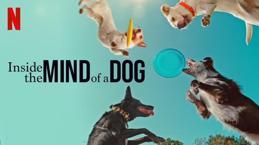 مشاهدة فيلم Inside the Mind of a Dog 2024 مترجم