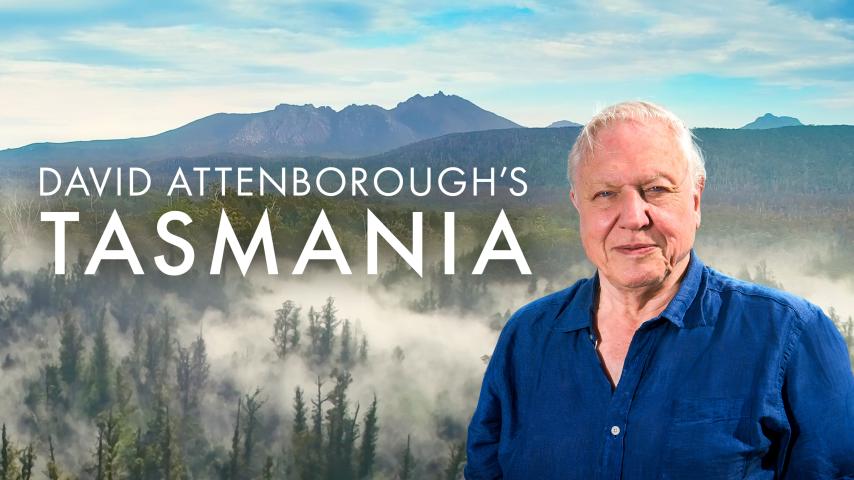 مشاهدة فيلم David Attenborough's Tasmania 2018 مترجم